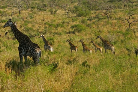 Südafrika